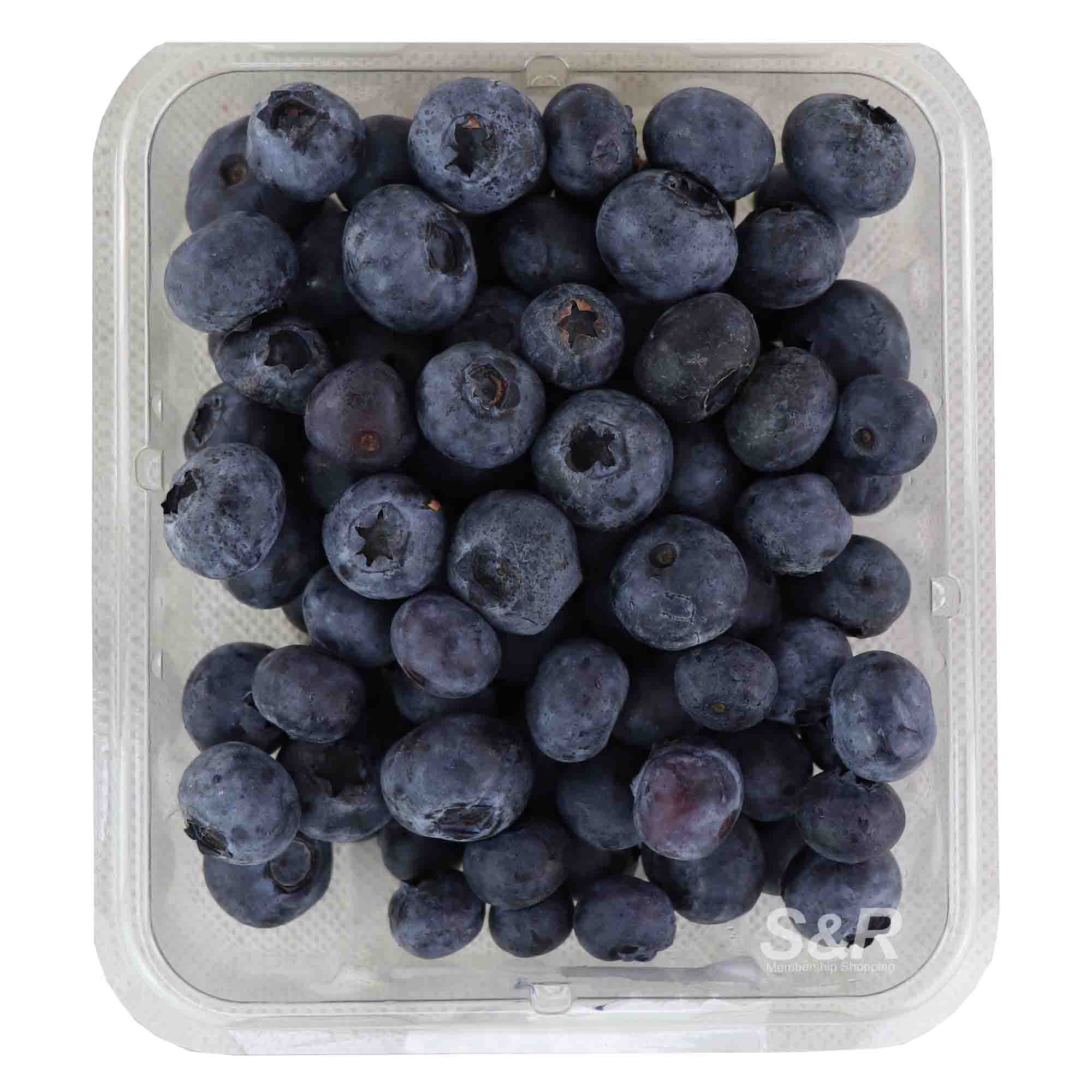 S&R US Blueberry 170g